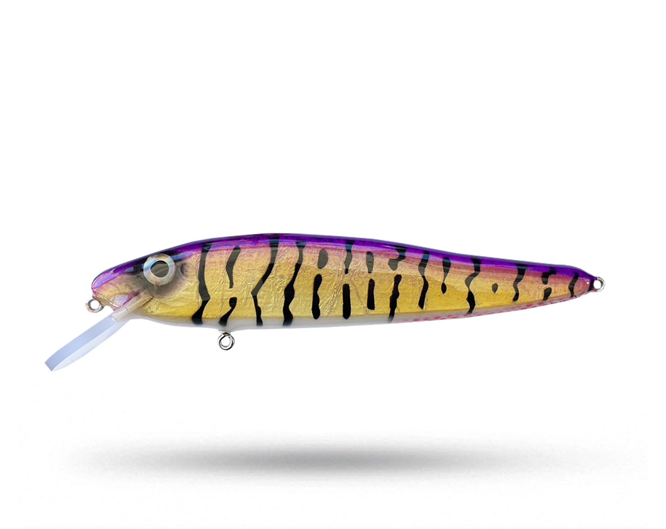 Gnarly Baits Twitch 25 cm - HypnoDancer